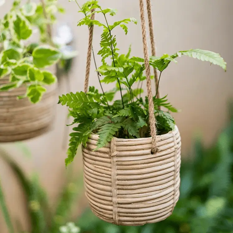 Faux Rattan Cement Hanging Planter by RusticReach