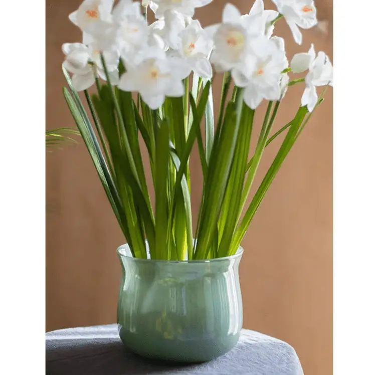 Ruhai Low Glass Vase by RusticReach