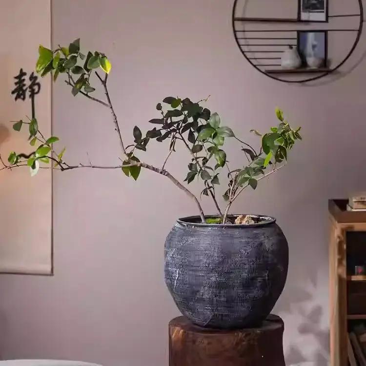 Sierra Round Pot Planter by RusticReach