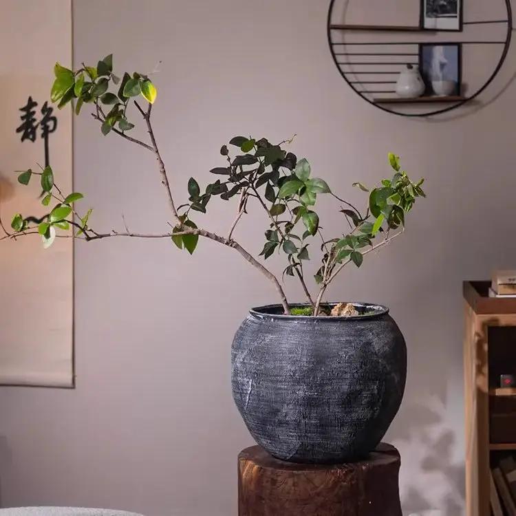 Sierra Round Pot Planter by RusticReach