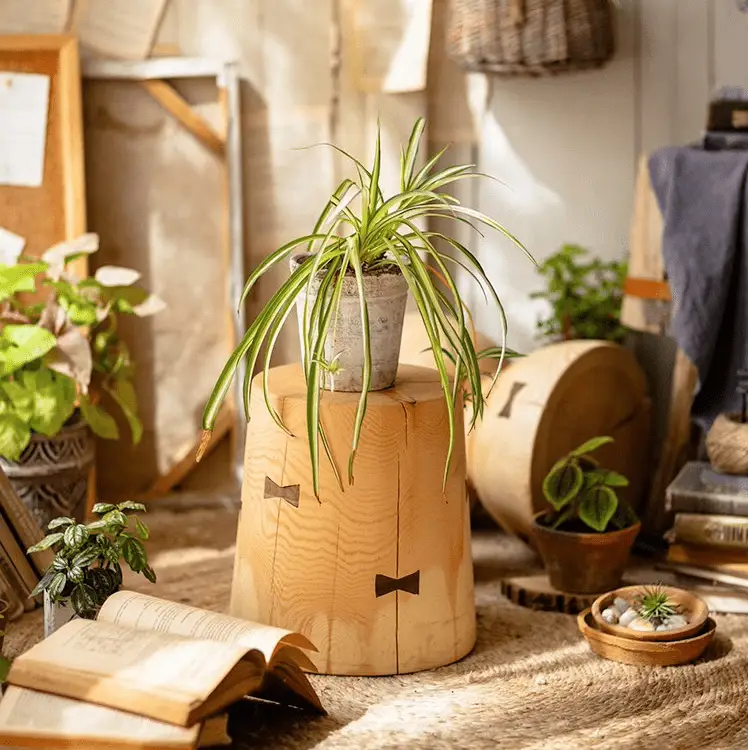 Solid Wood Natural End Table by RusticReach