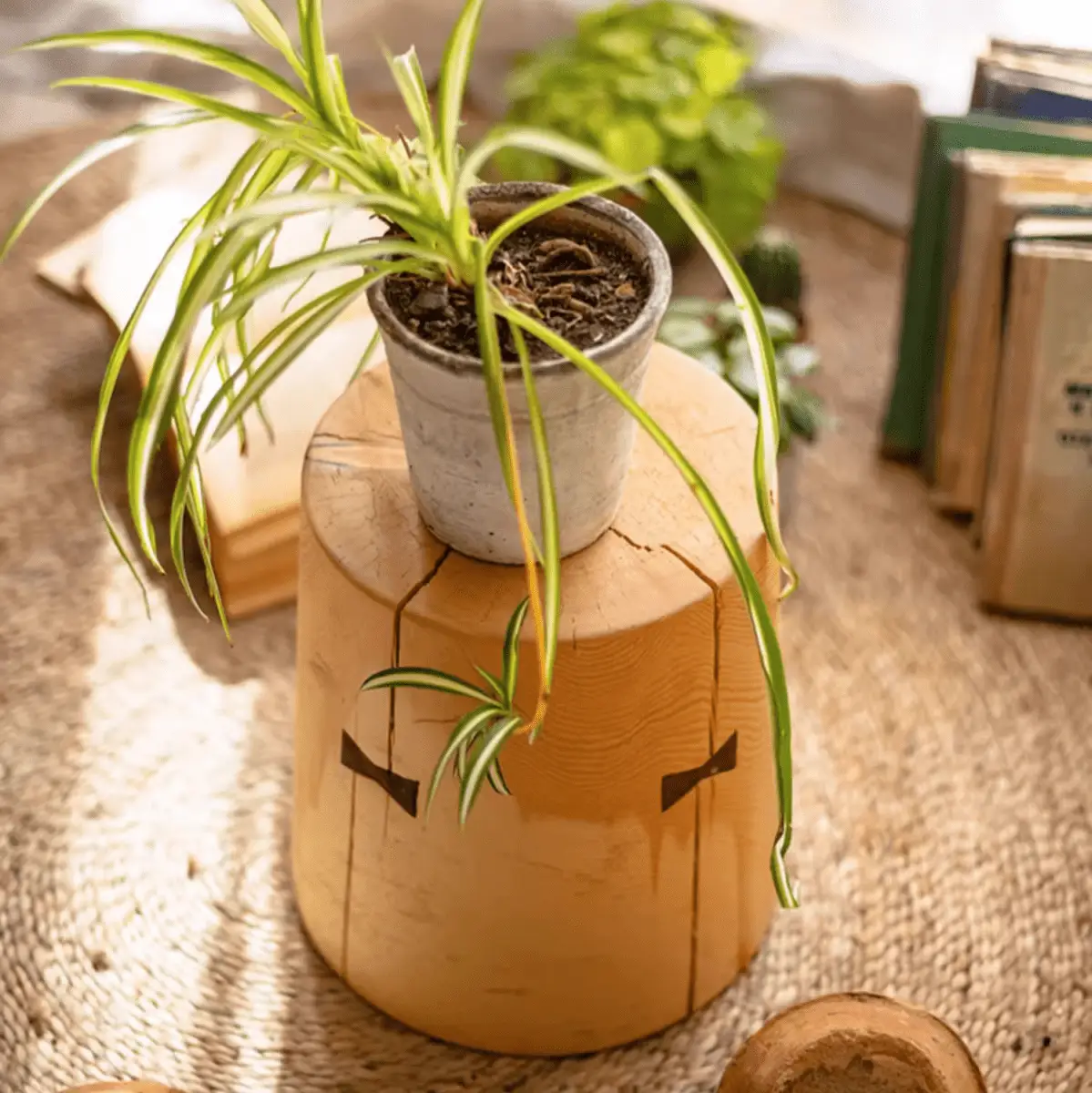 Solid Wood Natural End Table by RusticReach