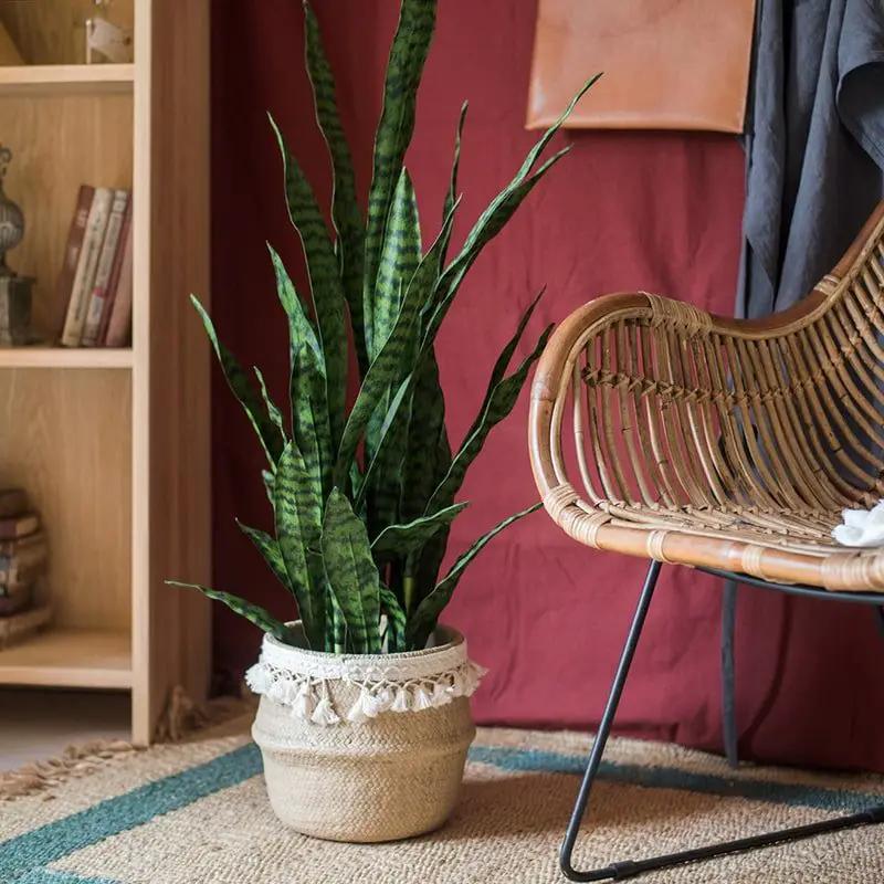Faux Artificial Snake Plant In Pot Green by RusticReach