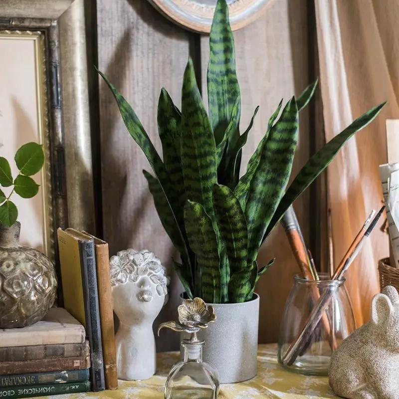 Faux Artificial Snake Plant In Pot Green by RusticReach
