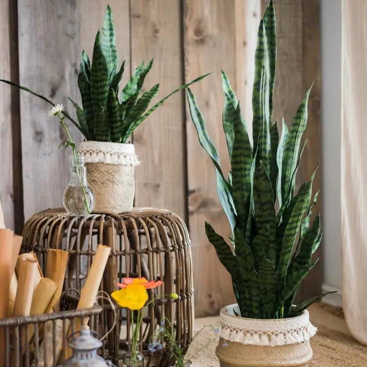 Faux Artificial Snake Plant In Pot Green by RusticReach