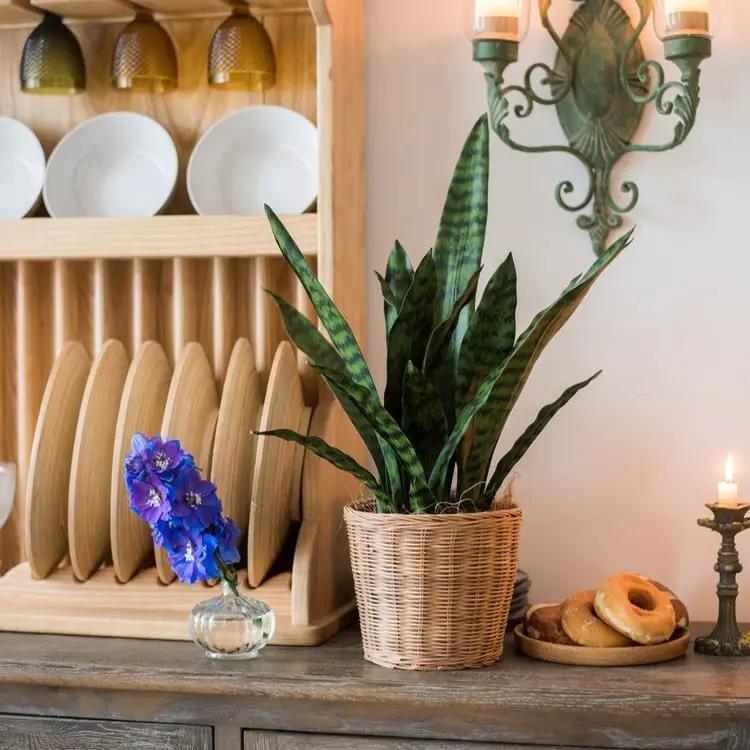 Faux Artificial Snake Plant In Pot Green by RusticReach