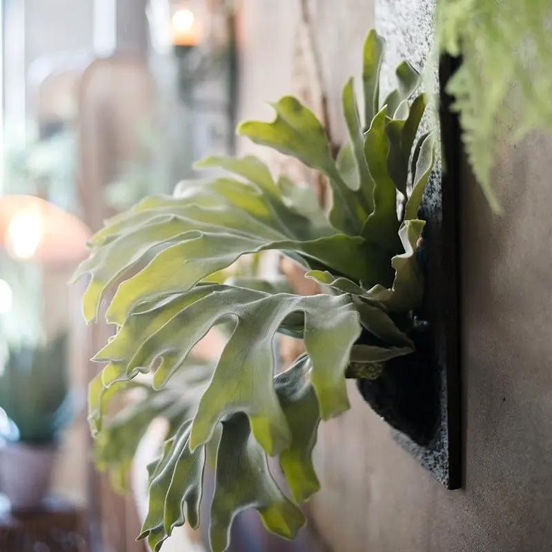 Artificial Faux Fern Madagascar Staghorn Wood Board Hanging by RusticReach