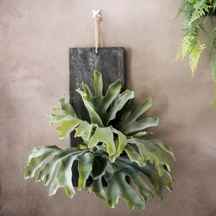 Artificial Faux Fern Madagascar Staghorn Wood Board Hanging by RusticReach