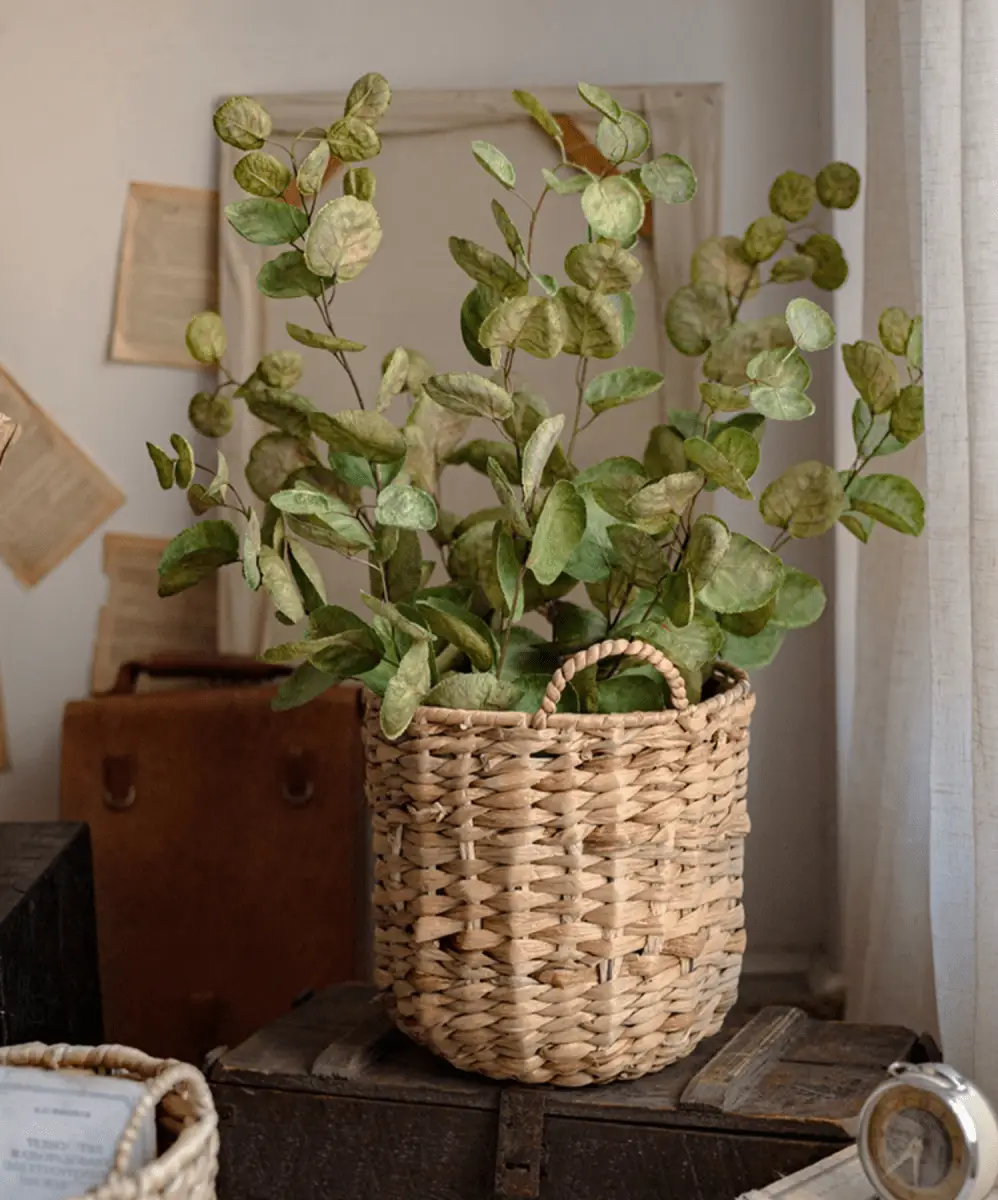 Natural Straw Round Basket with Handles by RusticReach