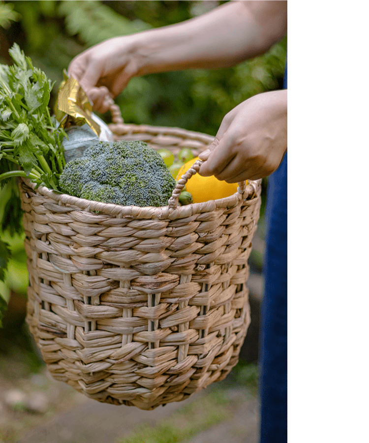 Natural Straw Round Basket with Handles by RusticReach