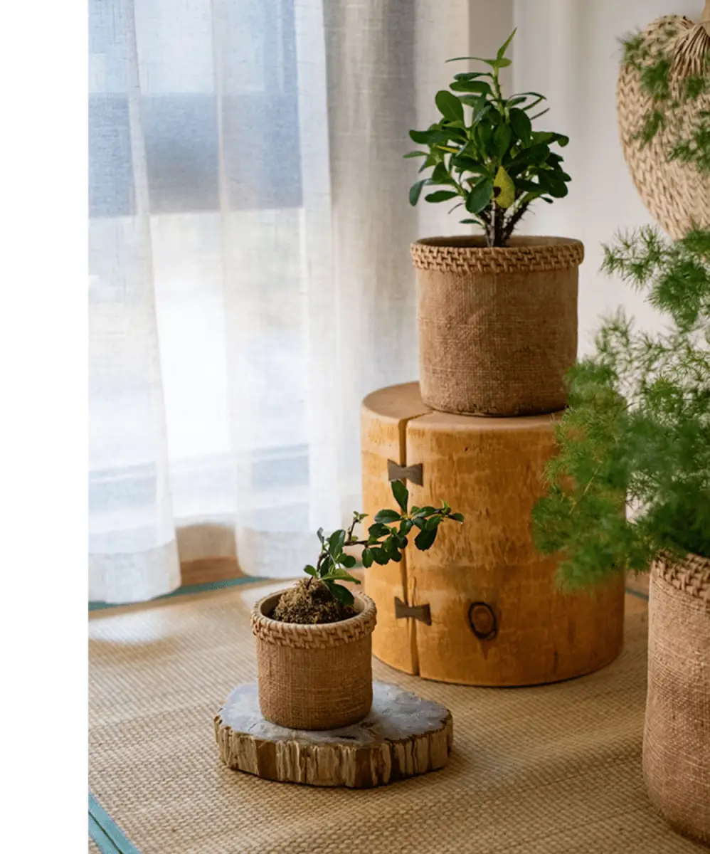 Straw Looking Concrete Planter by RusticReach