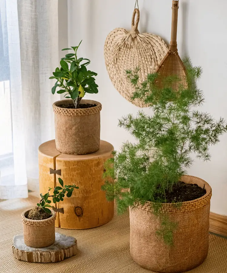 Straw Looking Concrete Planter by RusticReach