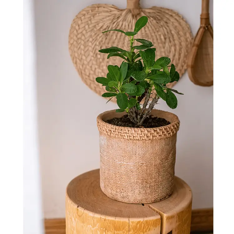 Straw Looking Concrete Planter by RusticReach