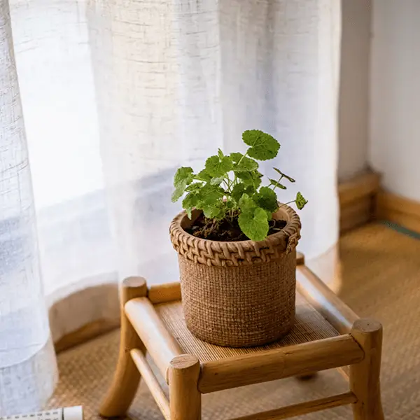 Straw Looking Concrete Planter by RusticReach