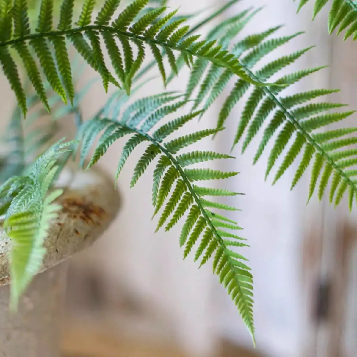 Artificial Tall Fern Leaf Stem by RusticReach