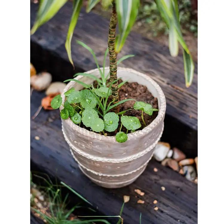 Tasha Red Terracotta Planter by RusticReach