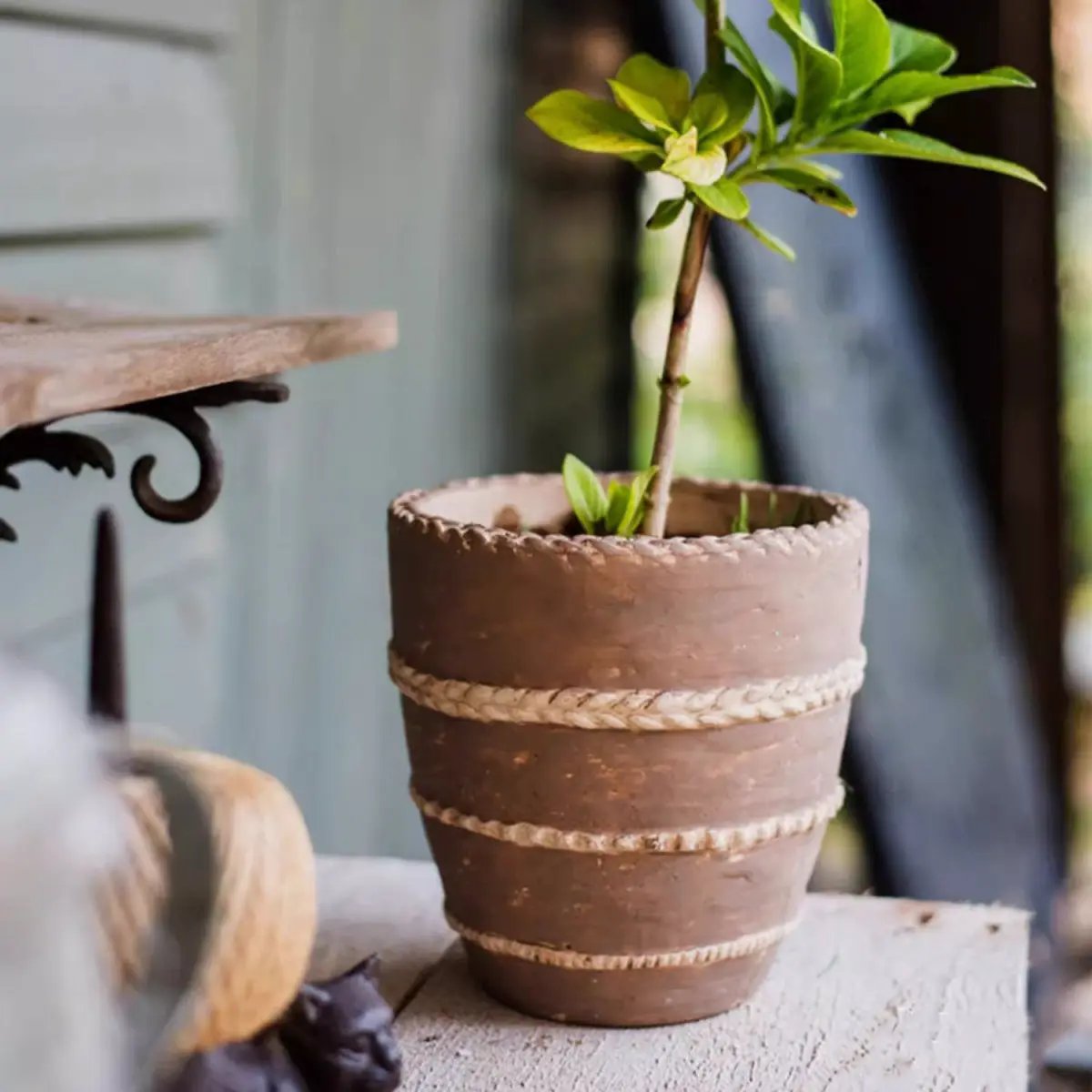 Tasha Red Terracotta Planter by RusticReach