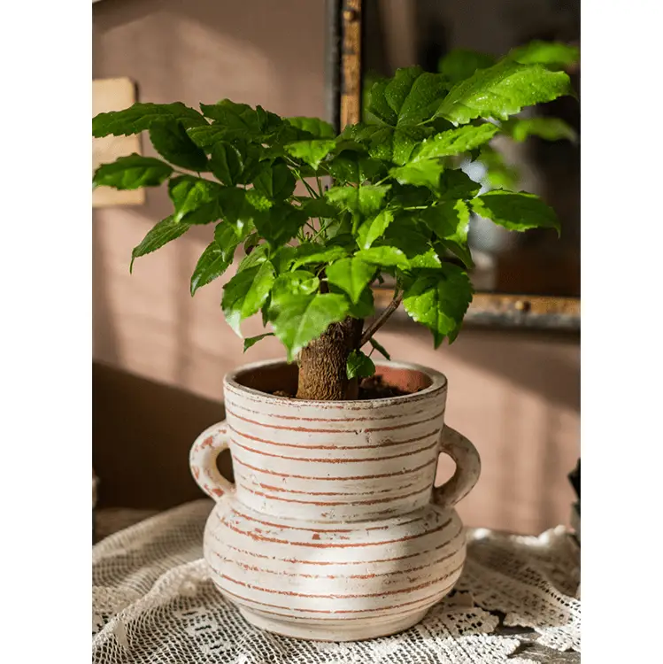 Terracotta Planter Vase with Handles by RusticReach