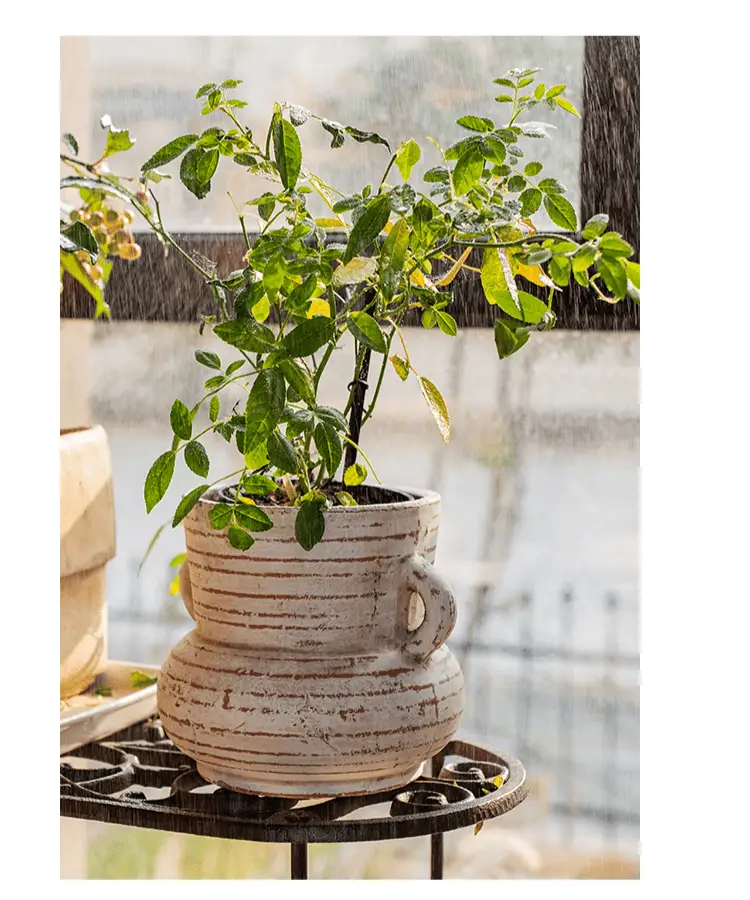 Terracotta Planter Vase with Handles by RusticReach
