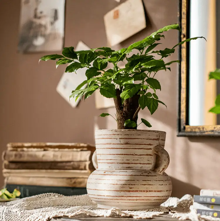 Terracotta Planter Vase with Handles by RusticReach