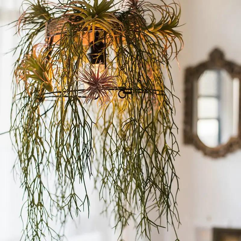 Artificial Faux Usnea Vine Stem 22" Long by RusticReach