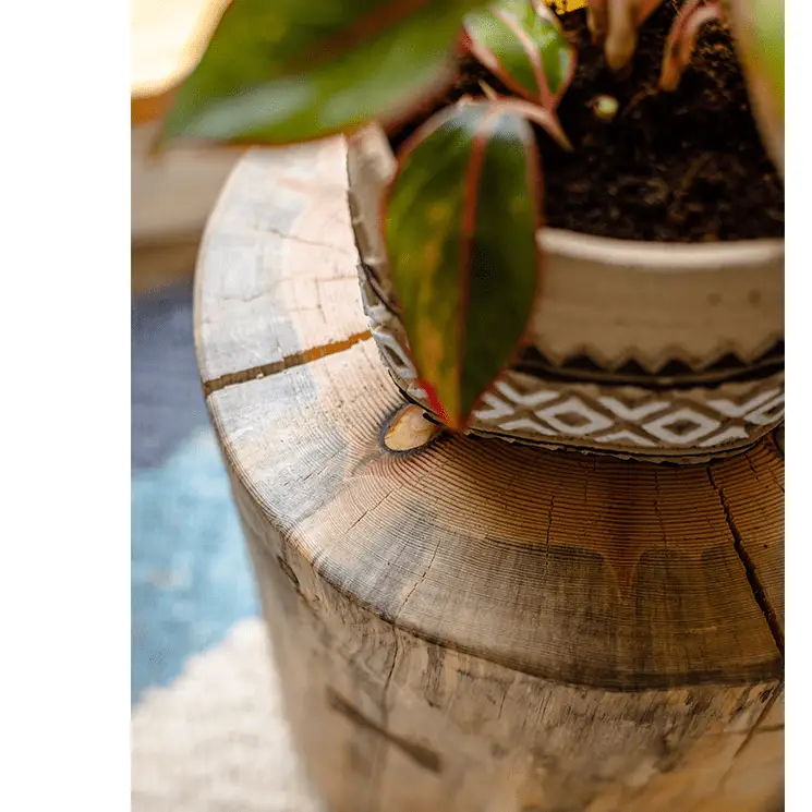 Pine Wood Pedestal Table Side Table by RusticReach