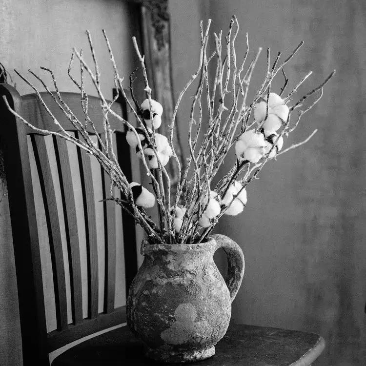 Whitewashed Twig Decorative Branch 22" Tall by RusticReach