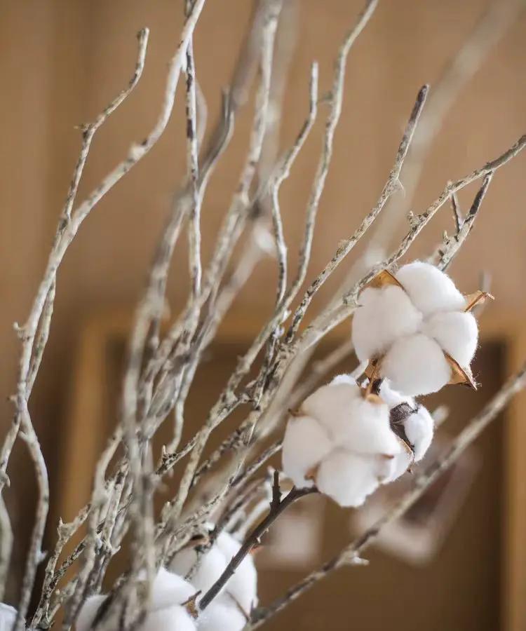 Whitewashed Twig Decorative Branch 22" Tall by RusticReach