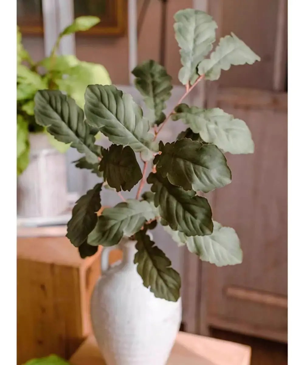 Wild Garden Greenery Stem 36" Tall by RusticReach