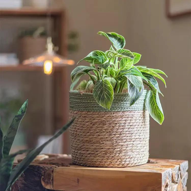 Woven Basket with Colored Rim by RusticReach