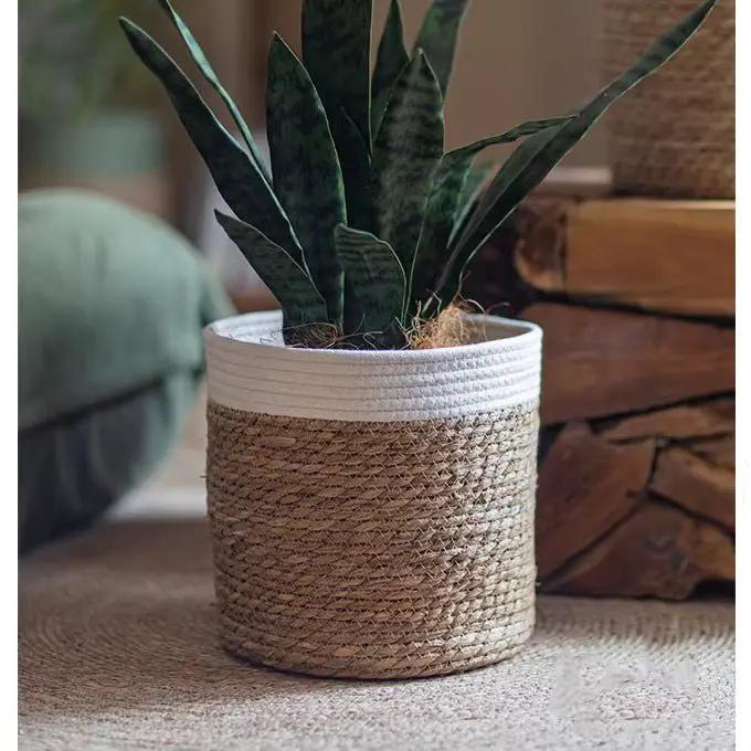 Woven Basket with Colored Rim by RusticReach