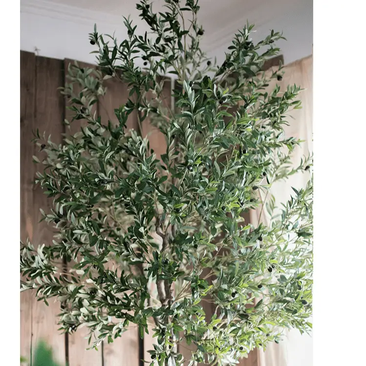 Extra Large Tall Olive Tree 118" Tall by RusticReach