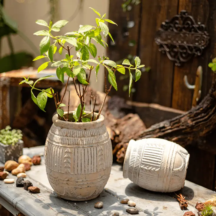Yukun Terracotta Planter Stoneware by RusticReach