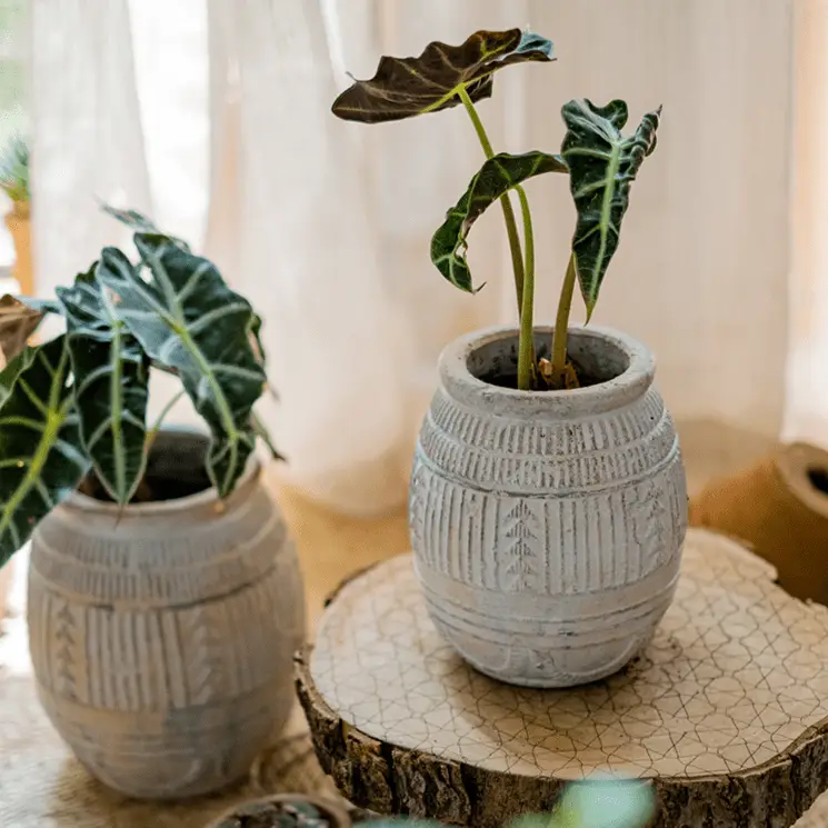 Yukun Terracotta Planter Stoneware by RusticReach