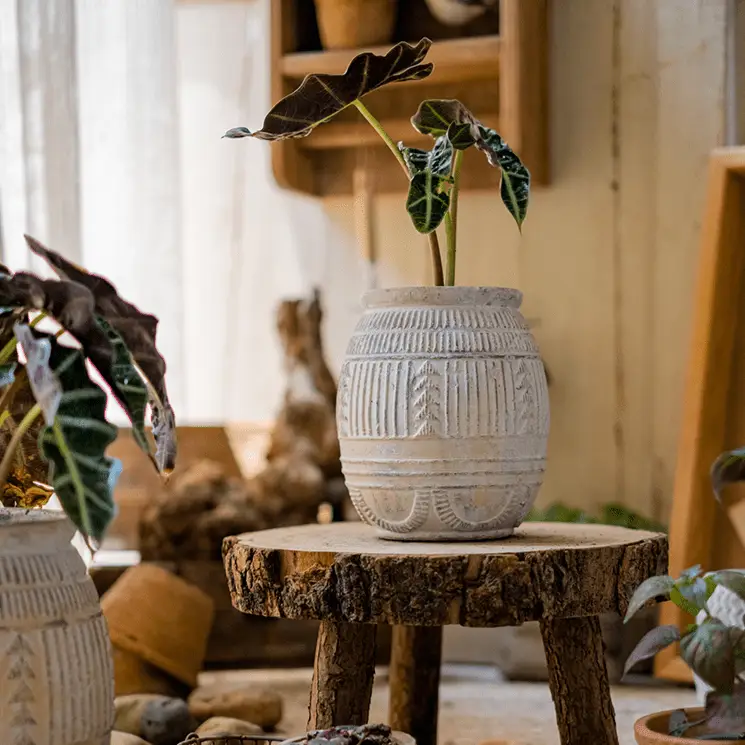 Yukun Terracotta Planter Stoneware by RusticReach