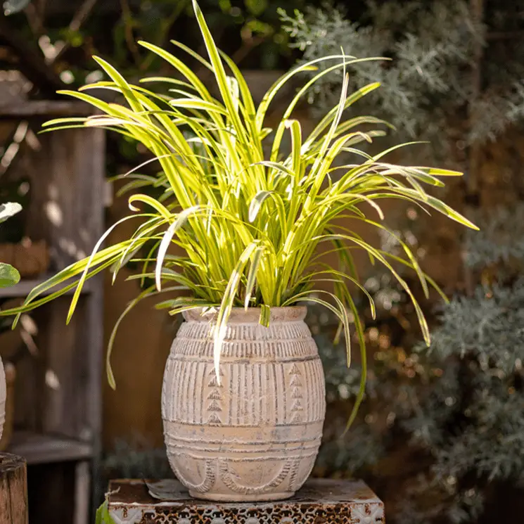 Yukun Terracotta Planter Stoneware by RusticReach