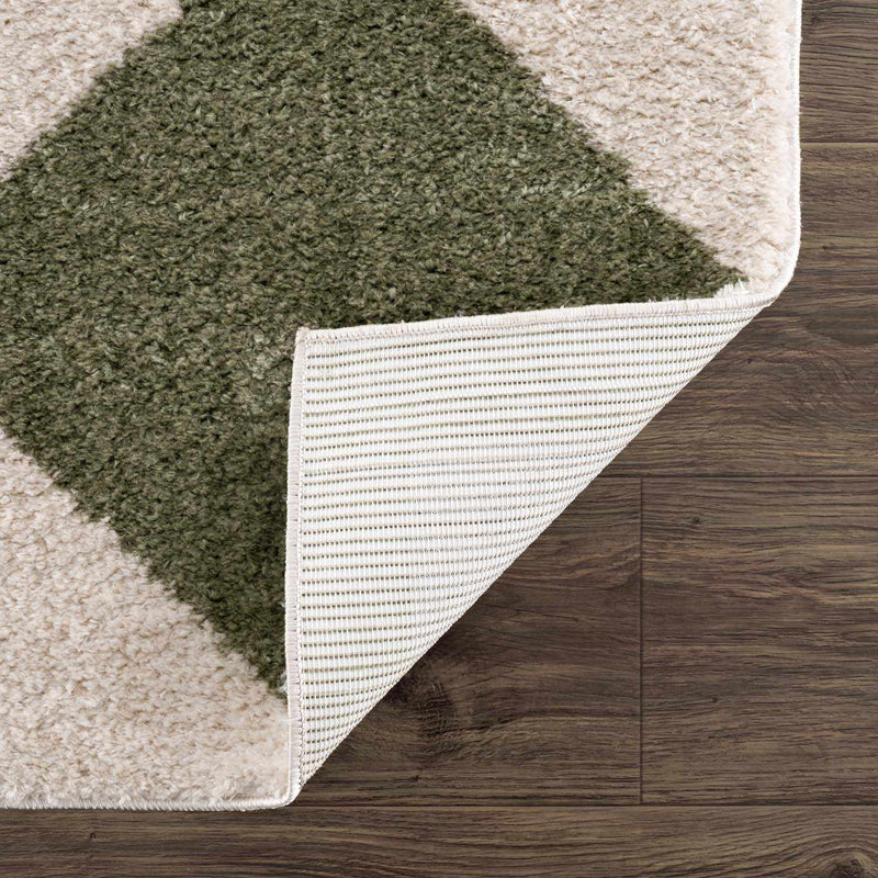 Arilla Green Washable Diamond Area Rug by Boutique Rugs