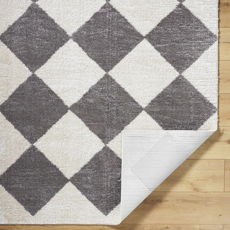 Arilla Diamond Checkered Washable Area Rug by Boutique Rugs