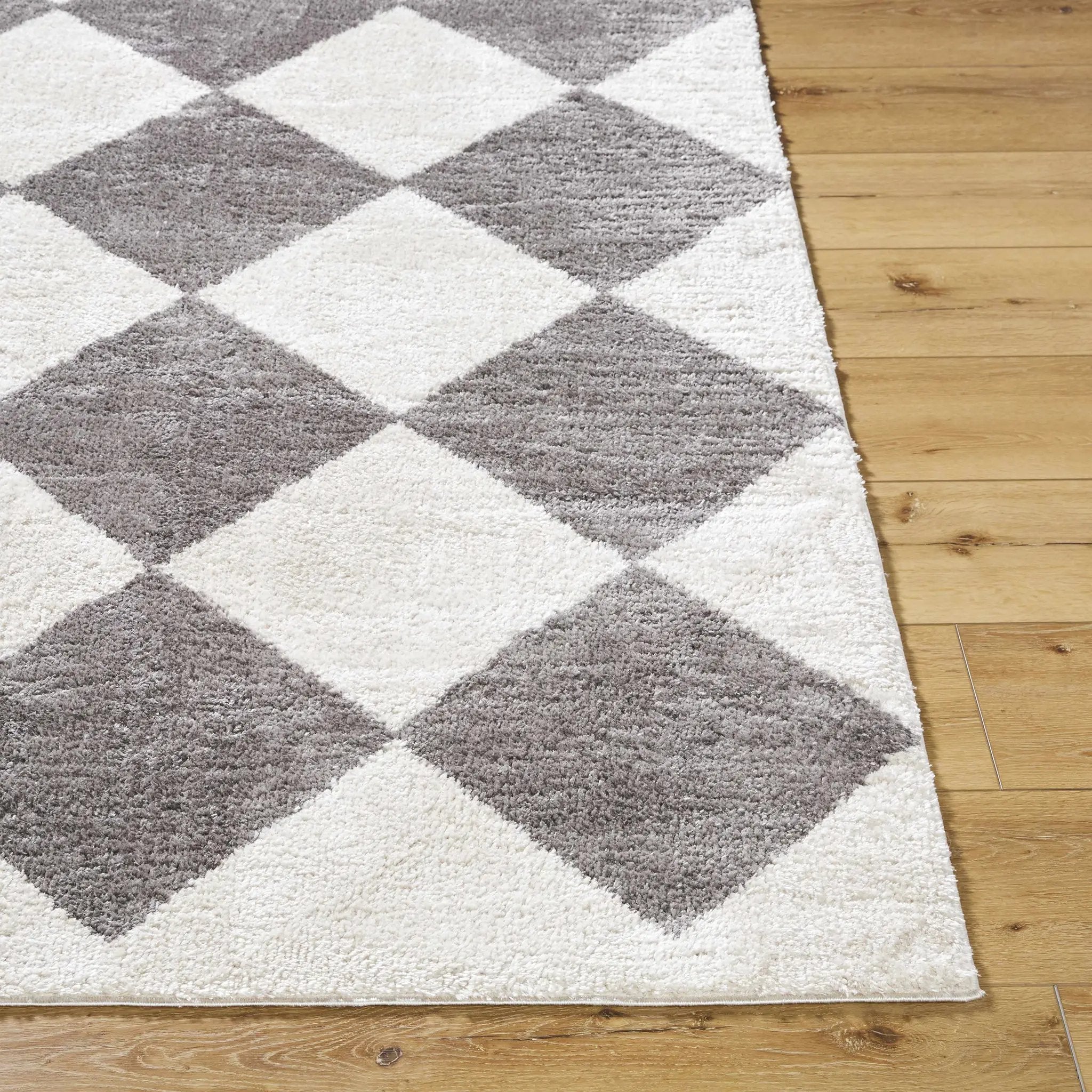 Arilla Diamond Checkered Washable Area Rug by Boutique Rugs