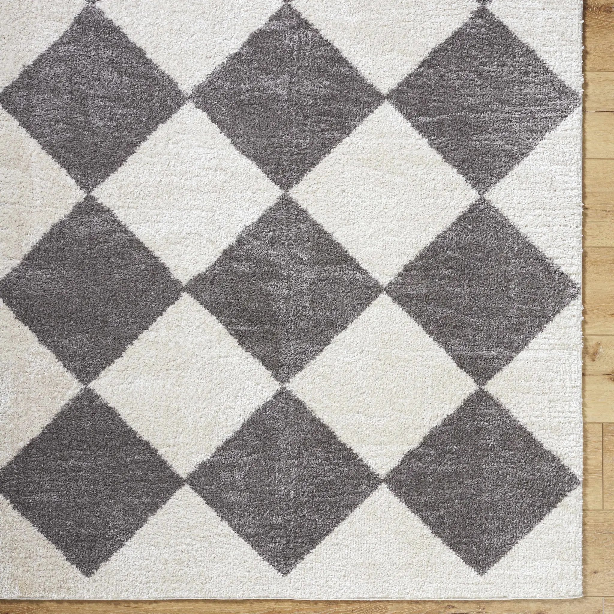Arilla Diamond Checkered Washable Area Rug by Boutique Rugs