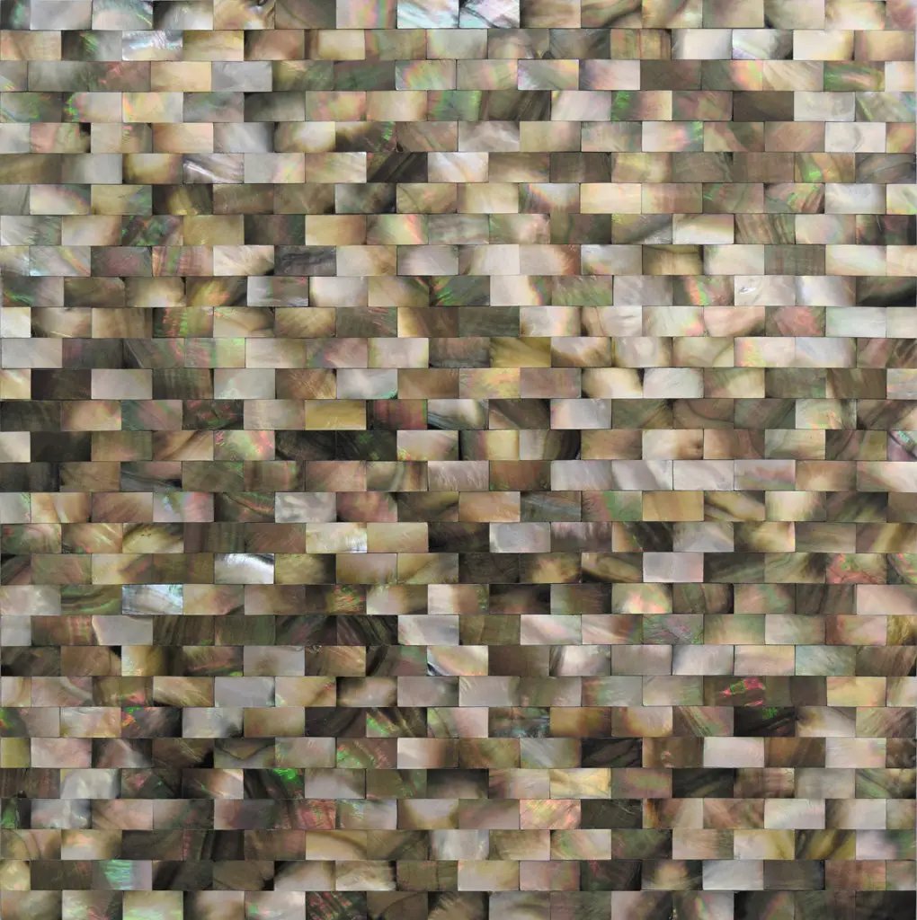 Beige Brown 11x12 Polished Brick Shell Mother of Pearl Mosaic Tile (20 pack, 19.34 sq ft/case) by Apollo Tile