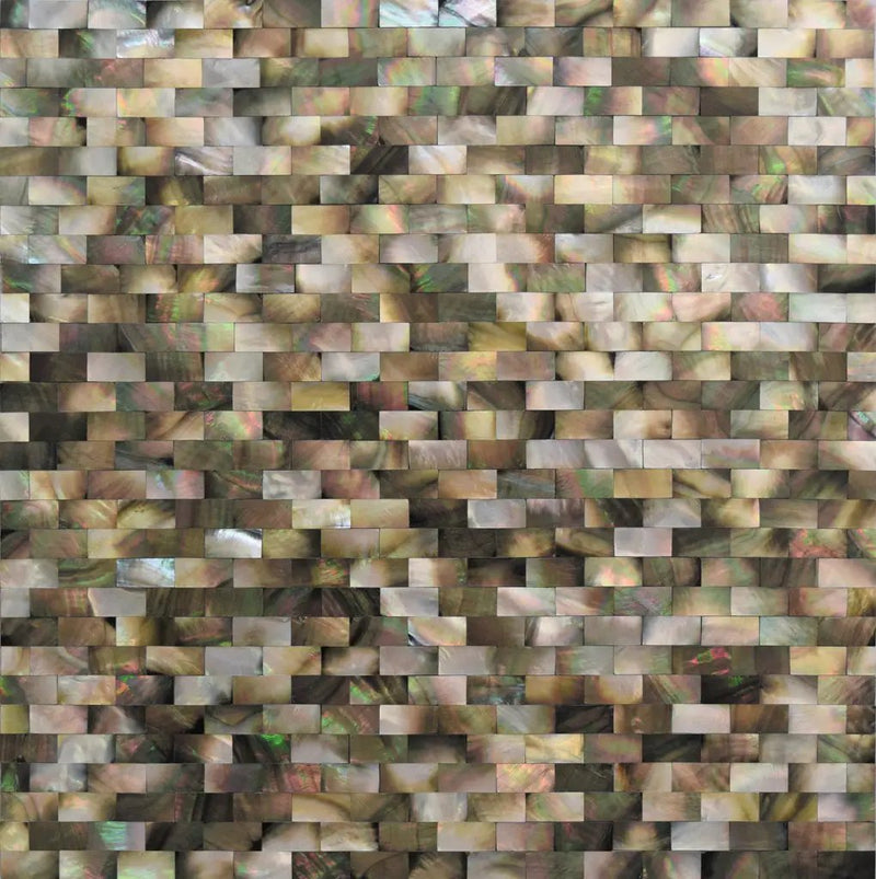 Beige Brown 11x12 Polished Brick Shell Mother of Pearl Mosaic Tile (20 pack, 19.34 sq ft/case) by Apollo Tile