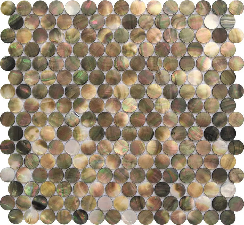 Beige Brown 12x12 Polished Penny Round Shell Mother of Pearl Mosaic Tile (20 pack, 18.37 sq ft/case) by Apollo Tile