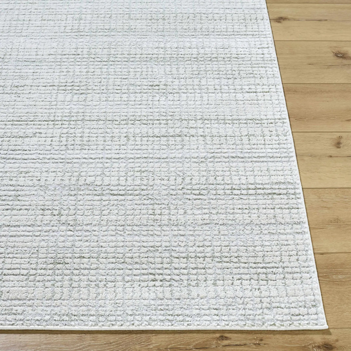 Albena Gray Area Rug, photo 13 of 16