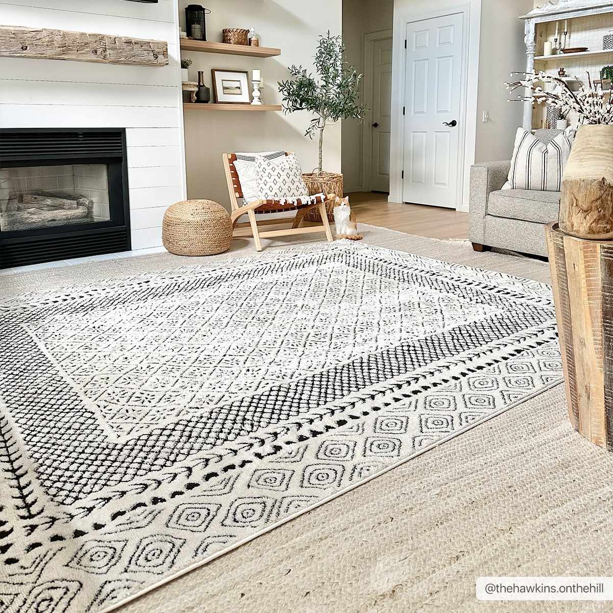 Julio Area Rug, photo 2 of 21