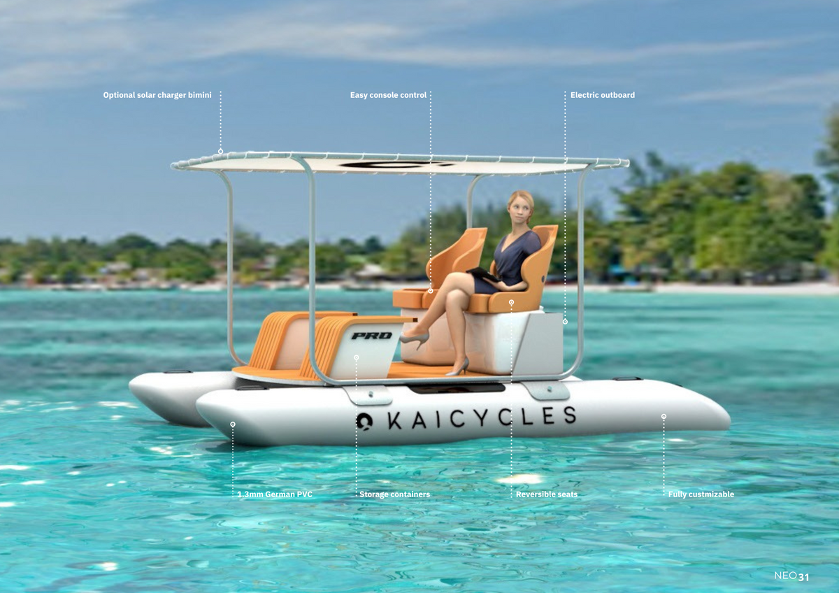 PRO Inflatable e-Boat (Made in EU), photo 10 of 11