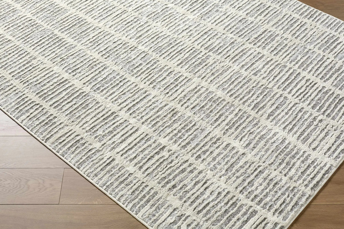 Aricin Gray Area Rug, photo 18 of 18