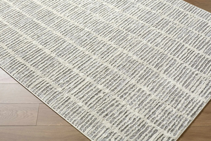 Aricin Gray Area Rug by Boutique Rugs
