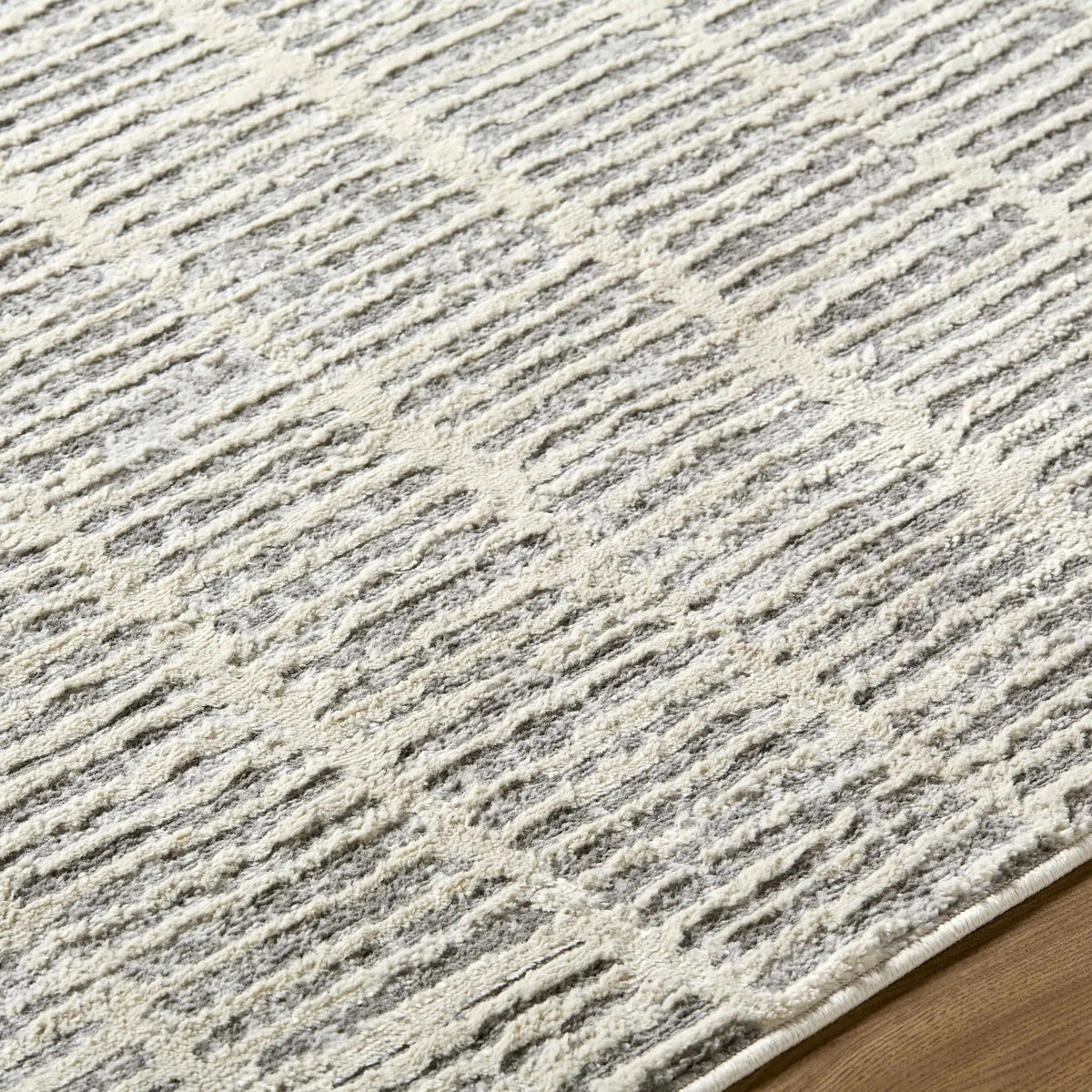 Aricin Gray Area Rug, photo 14 of 18