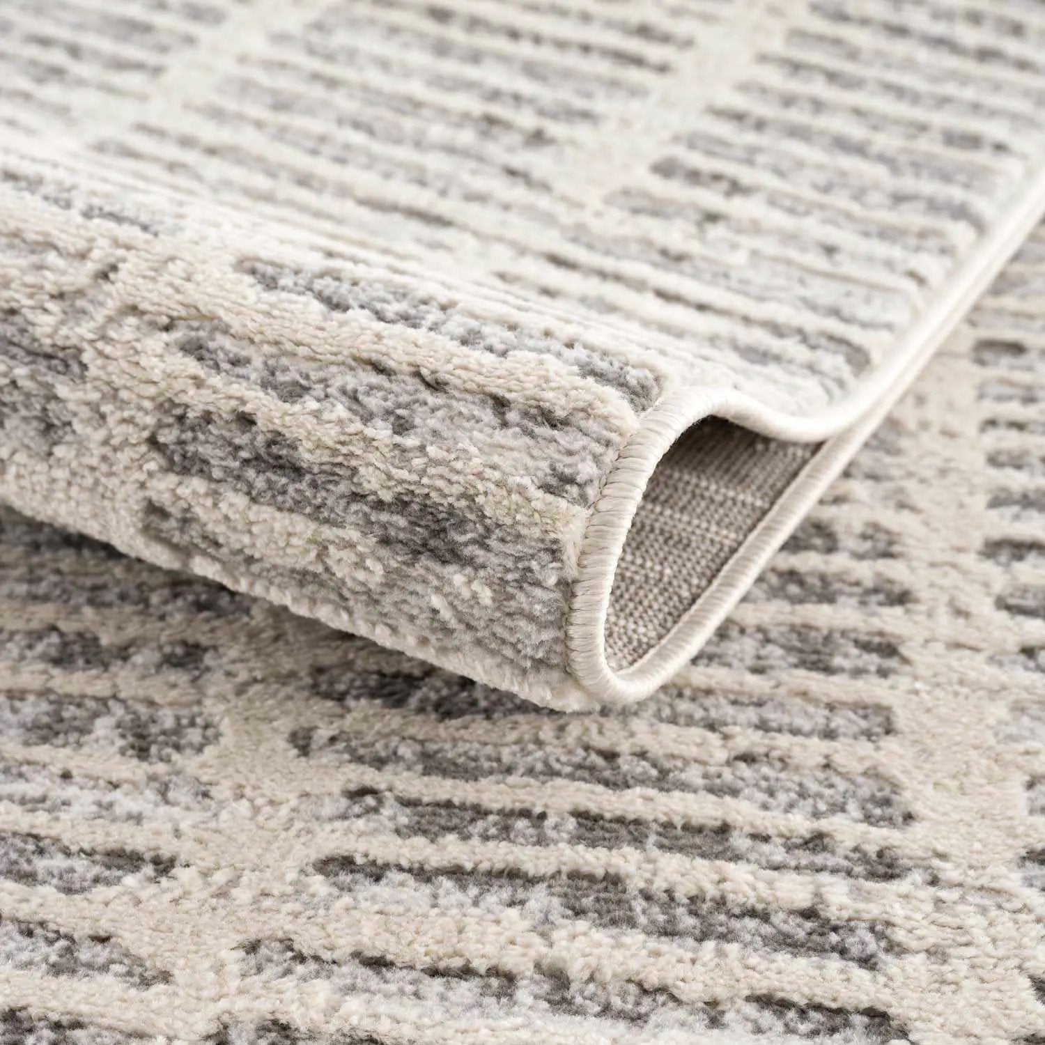 Aricin Gray Area Rug by Boutique Rugs